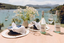 Koha Wines