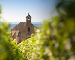 Domaine Clos de la Chapelle