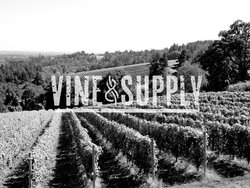 Vine & Supply