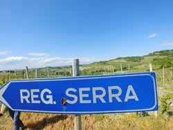 Franco Serra