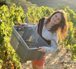 Miss Vicky Wines