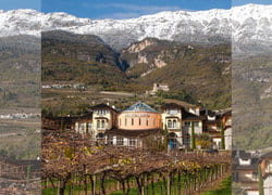 Distillerie Marzadro