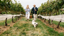 Barrel Oak Winery & Brewery