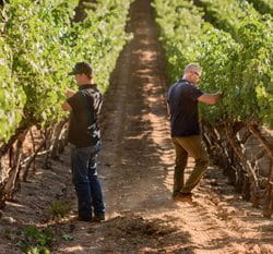 Matthew Wallace Wines