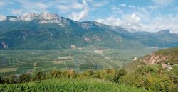 Terlano