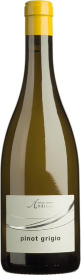 Andriano Pinot Grigio Alto Adige DOC - Bottle