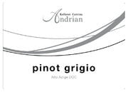 Andriano - Pinot Grigio Alto Adige DOC - Label