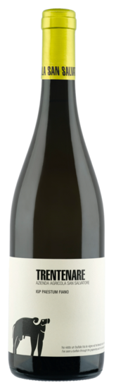 San Salvatore 1988 Trentenare IGP Paestum Fiano - Bottle