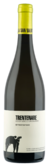 San Salvatore - Trentenare IGP Paestum Fiano - Bottle