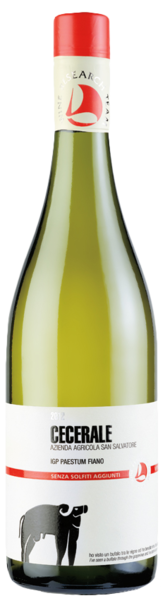 San Salvatore 1988 Cecerale IGP Paestum Fiano Senza Solfiti - Bottle