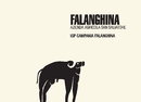 San Salvatore 1988 - Falanghina IGP Campania Falanghina - Label