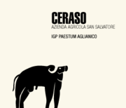 San Salvatore 1988 - Ceraso IGP Campania Aglianico - Label