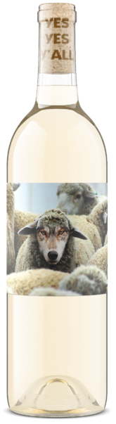 Maison Noir In Sheep's Clothing Pinot Grigio - Bottle