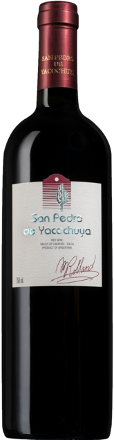 Bodega Yacochuya San Pedro De Yacochuya - Bottle