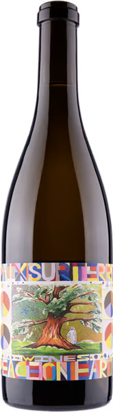 Paix Sur Terre Vermentino Glenrose Vineyard - Bottle