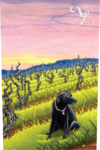 Violet's Paradise - Zinfandel Monte Rosso Sonoma County - Label