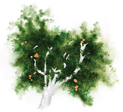 Kinero Cellars - Chardonnay Macbride Vineyard York Mountain - Label