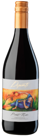 Dipinti Pinot Noir Trentino DOC - Bottle