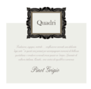 Quadri - Pinot Grigio Trevenezie IGT - Label