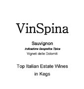 VinSpina - Sauvignon Vigneti delle Dolomiti IGT - Label