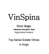 VinSpina - Pinot Grigio Vigneti delle Dolomiti IGT - Label