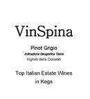 VinSpina - Pinot Grigio Vigneti delle Dolomiti IGT - Label