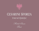 Cesarini Sforza - Classico Trentodoc Rosé Brut - Label