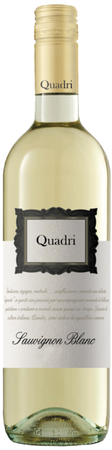 Quadri Sauvignon Trevenezie IGT - Label
