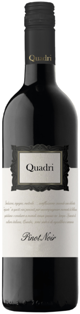  Pinot Noir Trevenezie IGT - Bottle