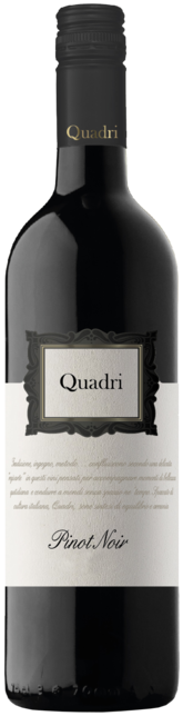 Quadri Pinot Noir Trevenezie IGT - Label
