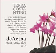 Terra Costantino  - deAetna Etna Rosato DOC - Label
