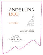 Andeluna - 1300 Torrontes Valle de Uco - Label