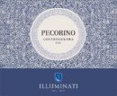 Illuminati - Pecorino Controguerra DOC - Label